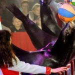 dsc_3265_cf-dehurtevent-450x253