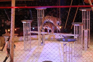 Andrey et Nataly Shirokaloff 001